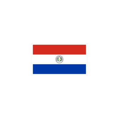 Pegatina Bandera Paraguay