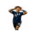 Pegatina Enzo festejo gol a Inglaterra