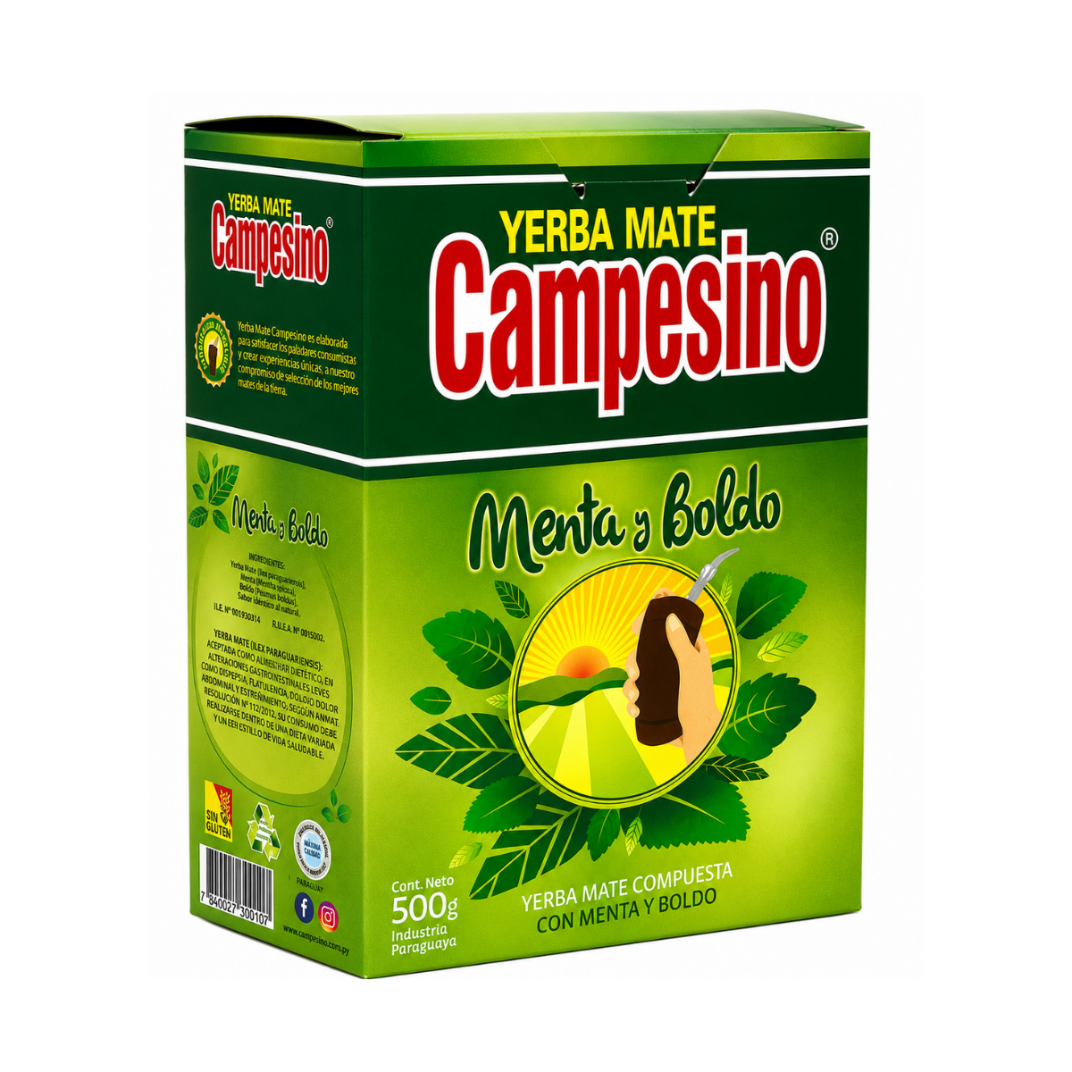 Yerba Mate Campesino Menta y Boldo 500g