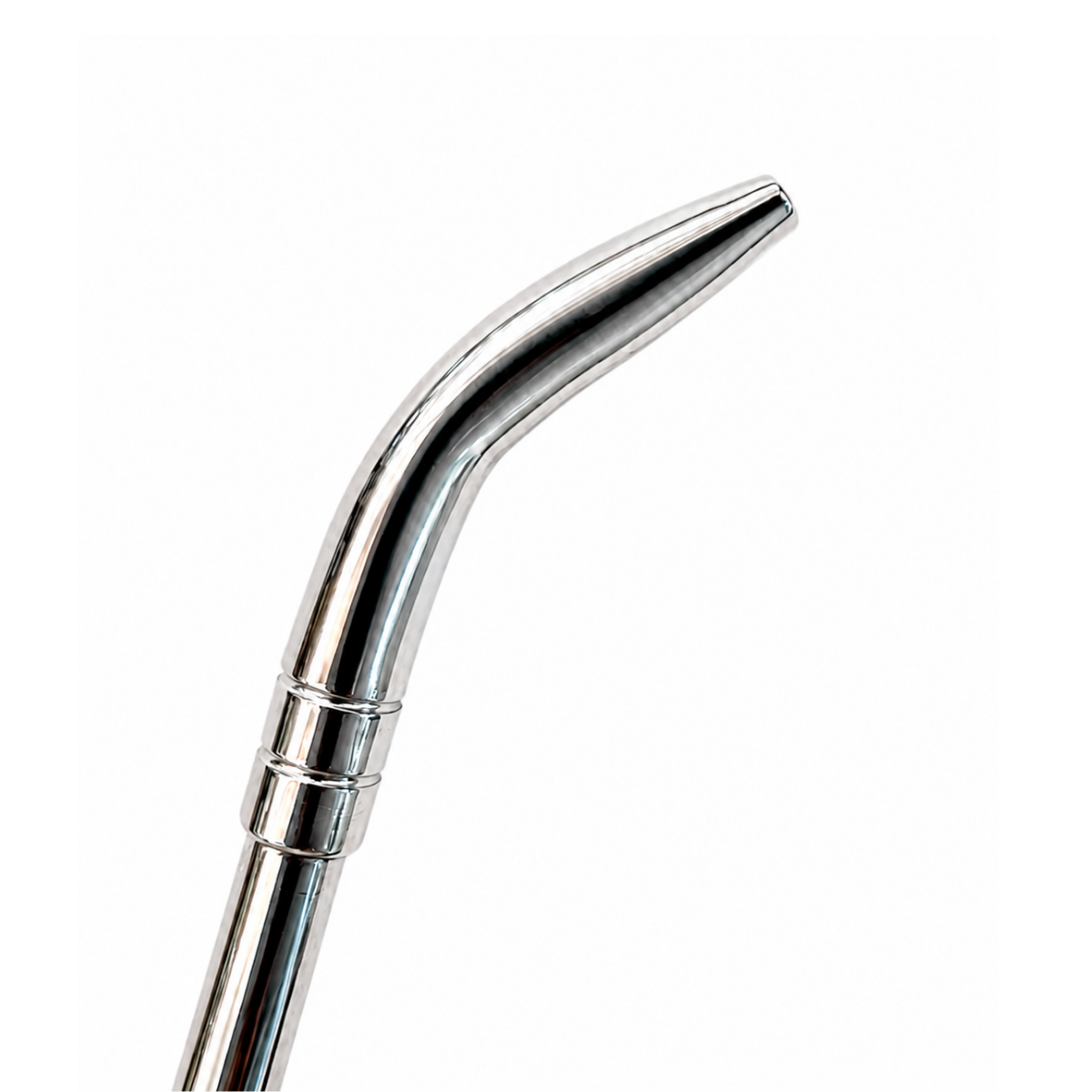 Bombilla Pico de Loro acero inox 19cm