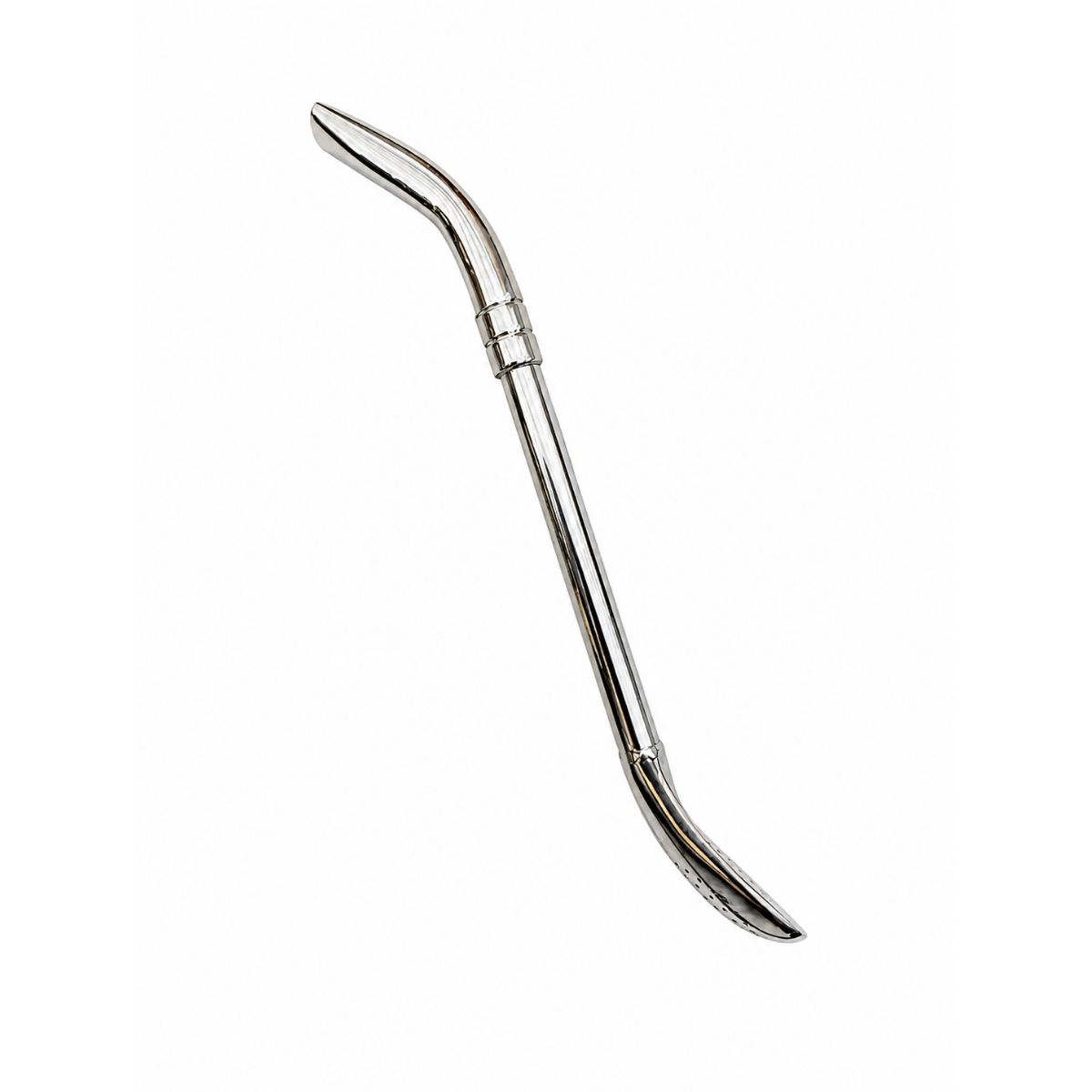 Bombilla Pico de Loro acero inox 19cm